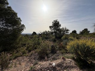 Terreno en venta en Las Pedrizas en Chiva