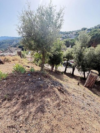 Solar en venta en Dosrius