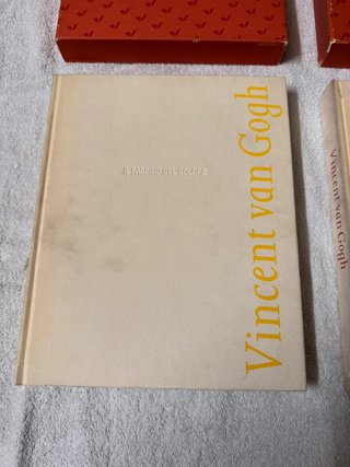 Van Gogh 2 libri Fascino del Tratto + Fascino del