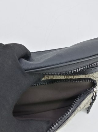 Riñonera Gucci Eden Supreme GG Monogram