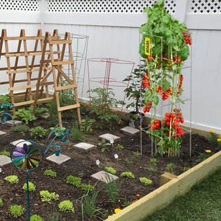 Jaulas para Tomates, 11.8" x 11.8" x 46.1", 5 Paquetes de Jaulas de Soporte para Plantas Cuadradas, Torres de Tomate de Acero Recubierto de PVC Plateado para Verduras Trepadoras, Plantas, Flores, ...