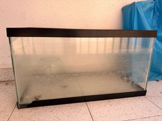 Pescera/Terrario de cristal y plástico