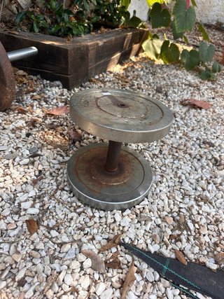 Lote de pesas y barra