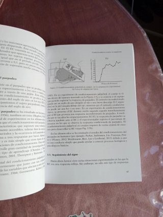 La Administración Pública de la Responsabilidad...