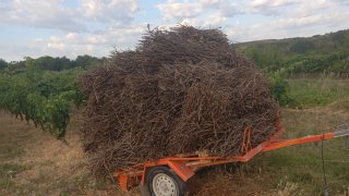 Gabilla de leña y trabajos de todo tipo 698619130