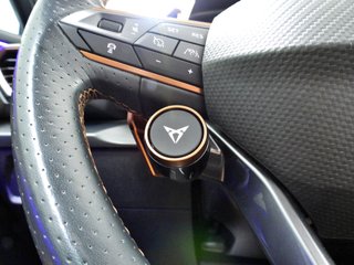Cupra Formentor VZ 2.0TSI 310cv DSG7 4Drive