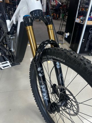 Focus Bicicleta Eléctrica