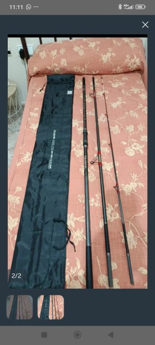 Caña Daiwa Emblem Tubular