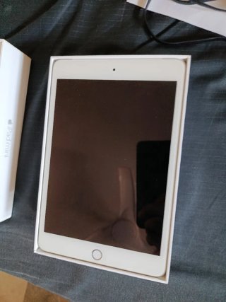 iPad mini 4 64GB Plata