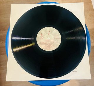 Vinilo Triple. Grabaciones Accidentales. TDG