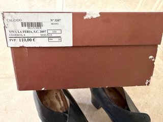 Zapatos baile flamenco profesional Begoña Cervera