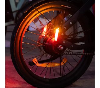 Engwe P20 Bicicleta eléctrica plegable