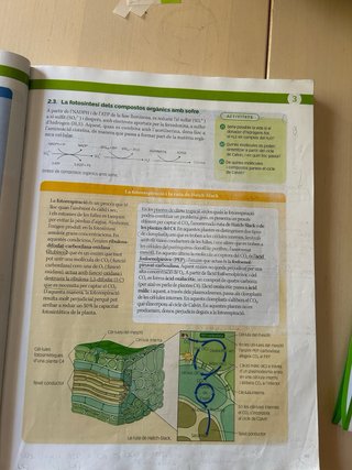 Biologia, 2 Batxillerat, Projecte Construint mons
