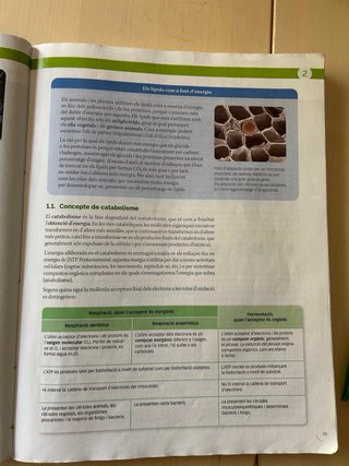 Biologia, 2 Batxillerat, Projecte Construint mons