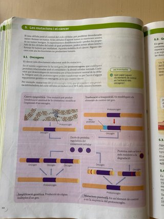 Biologia, 2 Batxillerat, Projecte Construint mons