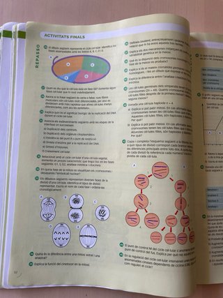 Biologia, 2 Batxillerat, Projecte Construint mons