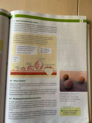 Biologia, 2 Batxillerat, Projecte Construint mons