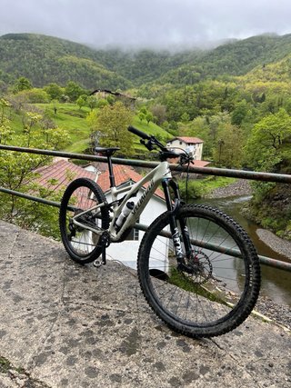 Bicicleta Specialized stumpjumper carbono