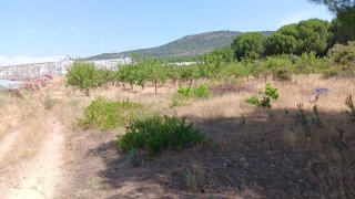Finca de regadío