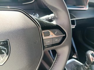 DESDE 243€ AL MES SIN ENTRADA PEUGEOT 2008 BLANCO