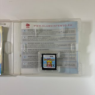 Super Princess Peach Nintendo DS
