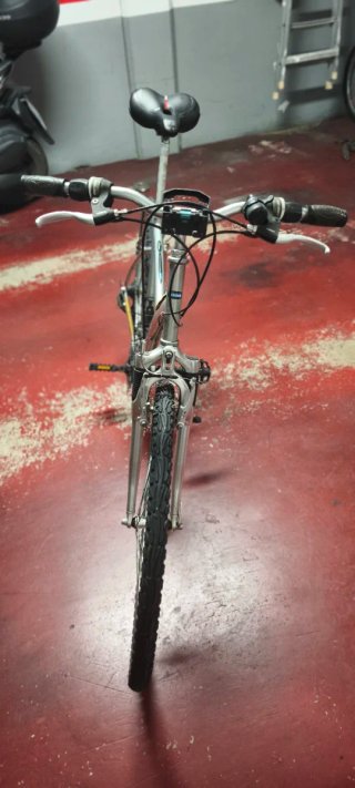 Bicicleta de montaña Twin