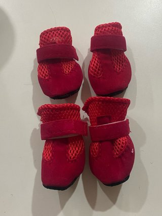 Zapatos para perro Talla L