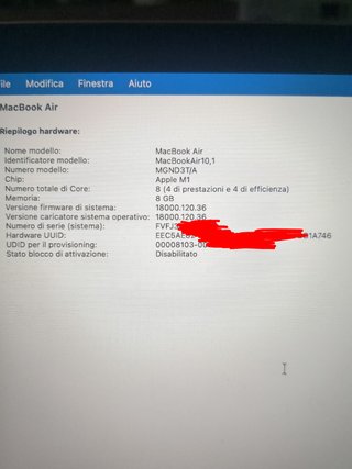 MacBook Air M1 2020 13 8GB 256GB Oro - display ko