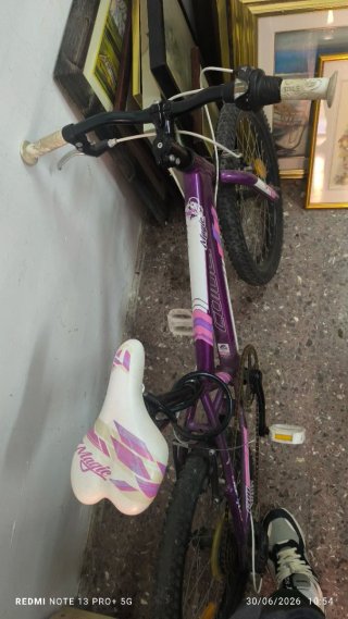 Bicicleta infantil morada