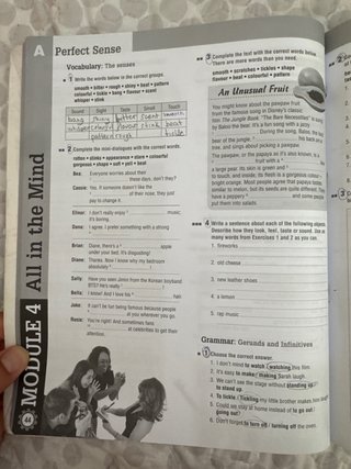Libro Inglés 4ESO Think Ahead Workbook