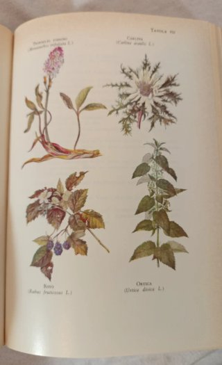 Libro "le piante medicinali"