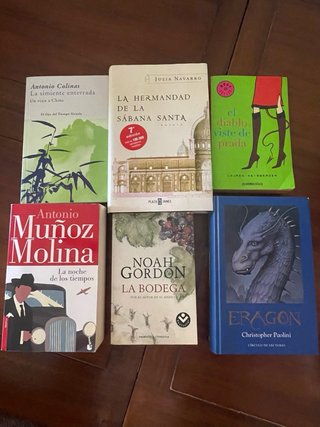 Lote 17 libros: Novela, Historia, Misterio