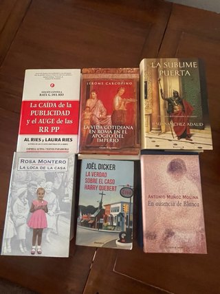 Lote 17 libros: Novela, Historia, Misterio
