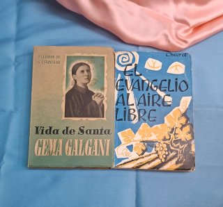 Lote 2 Libros Religiosos Vida Santa Gema