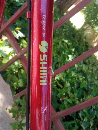 Bicicleta de montaña roja de mujer
