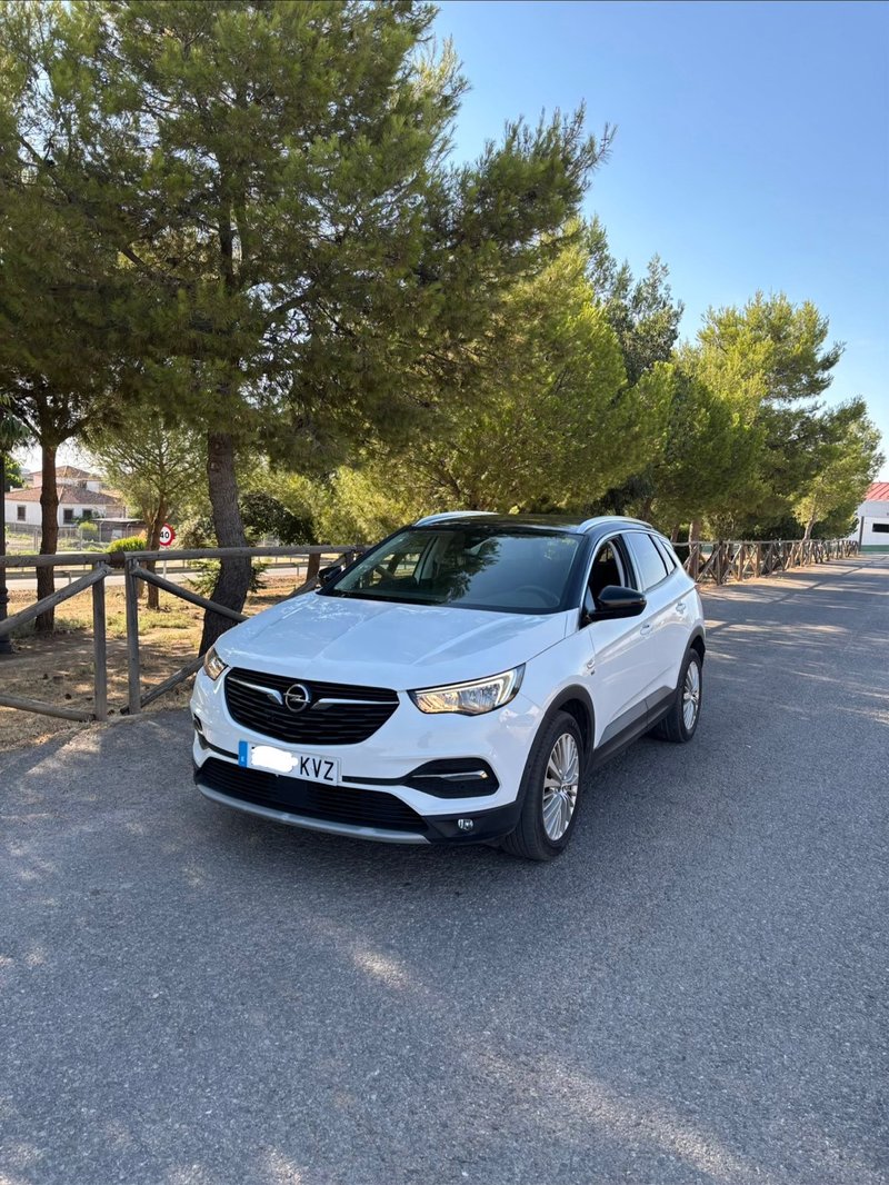 Opel Grandland X 120 ANIVERSARIO 1.5 CDTI S/S AT8 2019