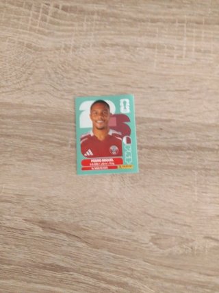 Cromos de fútbol Pedro Miguel