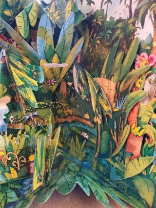 Libro juego La Selva Tropical tipo carrusel