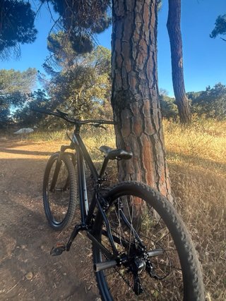 Bicicleta Negra