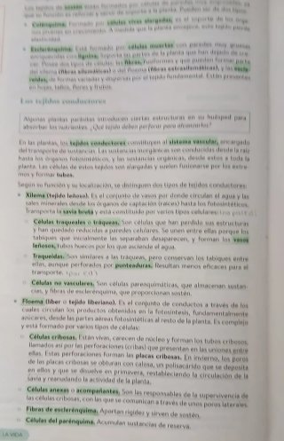 Biología, Geología y CC. Ambientales 1º Bachill...