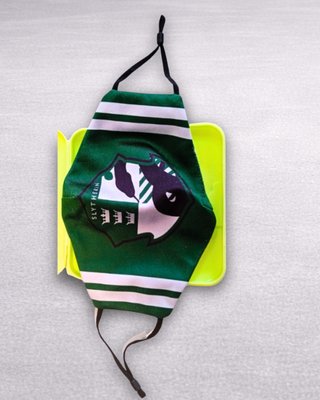 Lote 2 Mascarillas Harry Potter Niño 10-13 Años