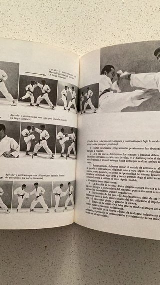La dinámica del Karate Técnicas de parada y con...