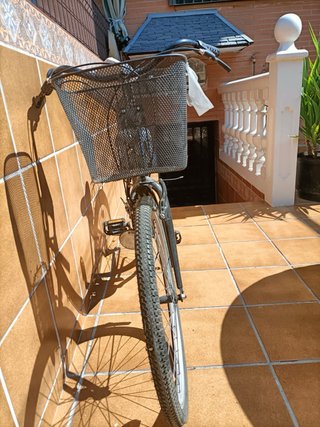 Bicicleta Paseo City 40