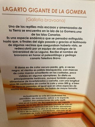 Moneda 1.5€ Lagarto Gigante La Gomera Canarias