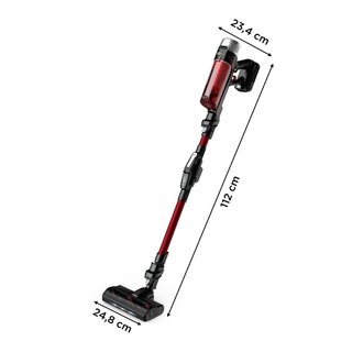 Rowenta XForce Flex RH2079 Aspirador