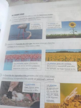Proyecto: FanFest. Ciencias de la Naturaleza 3 ...