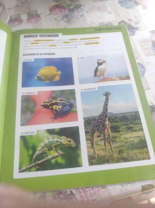 Proyecto: FanFest. Ciencias de la Naturaleza 3 ...