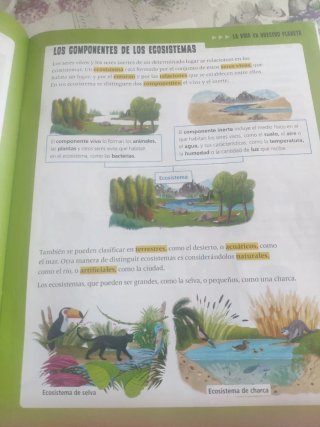 Proyecto: FanFest. Ciencias de la Naturaleza 3 ...