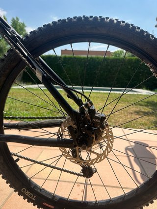 BH Expert TS TrackSeries 29” Talla S