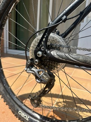 BH Expert TS TrackSeries 29” Talla S